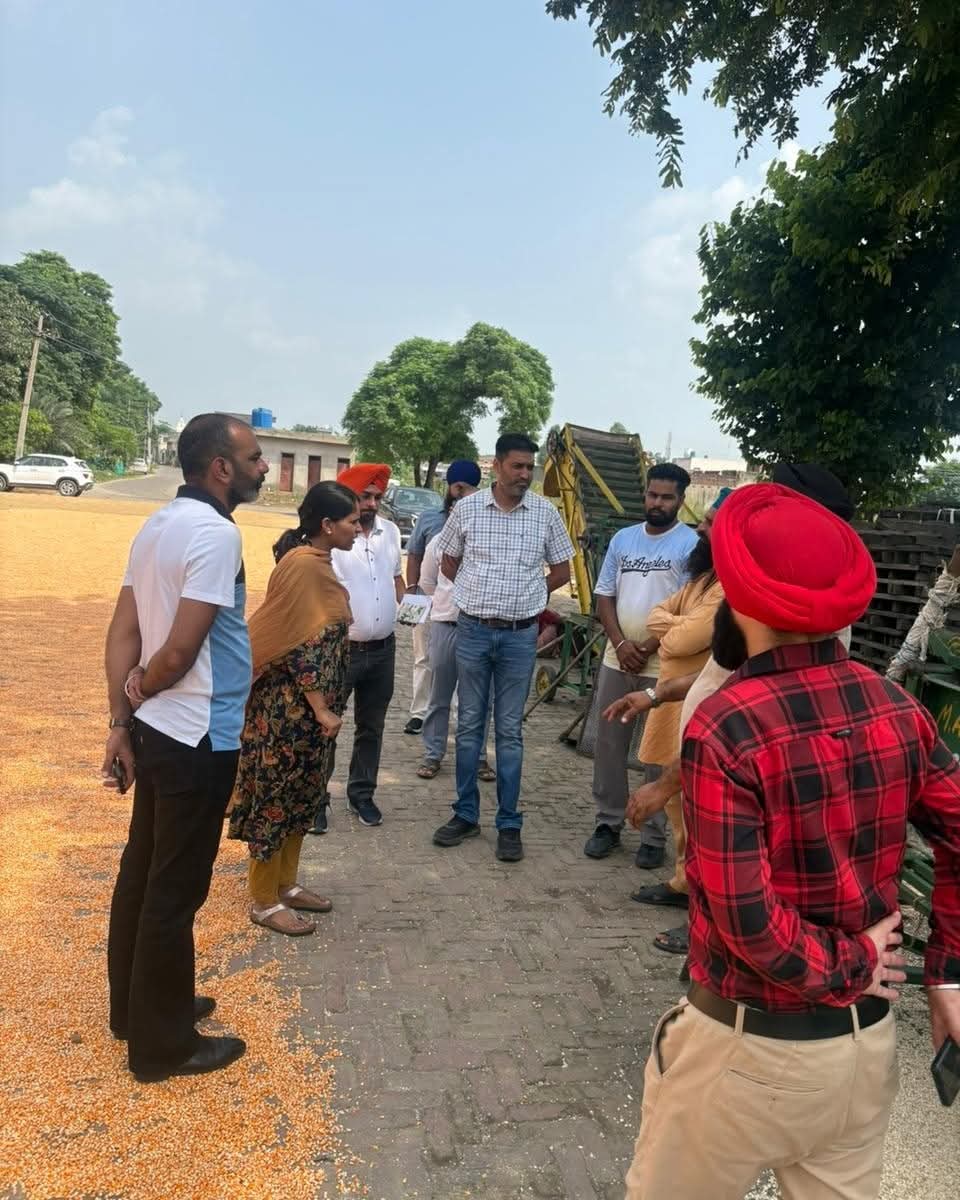SDM visits mandis, reviews procurement activities.